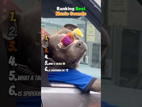 Ranking Best Music Sounds 😂 サムネイル