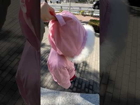 【新作アウターが可愛すぎる🎀】フードのファーがポイント❄️shorts fashion wego outfit カジュ… サムネイル