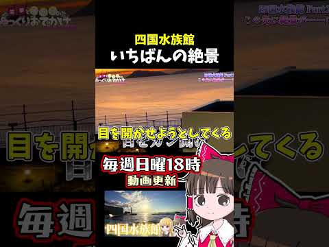 四国水族館、最高の瞬間 サムネイル