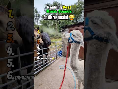 Ranking Best Music Sounds 😂 サムネイル