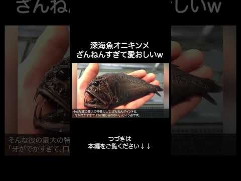 深海魚オニキンメがざんねんすぎるw サムネイル