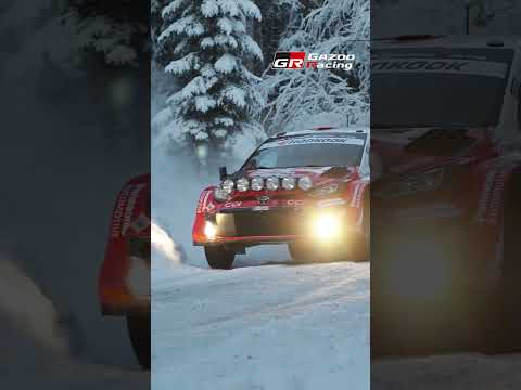 Twilight Symphony: WRC Sweden SS5 Forest Action サムネイル