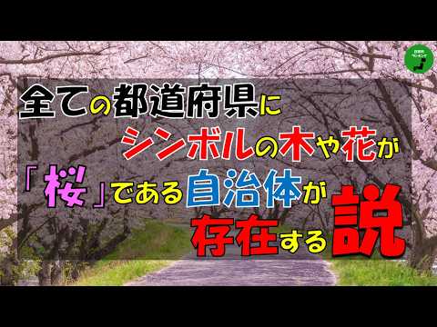 【検証】1016_全ての都道府県にシンボルの木や花が桜である自治体が存在する説【立証】【春】 サムネイル