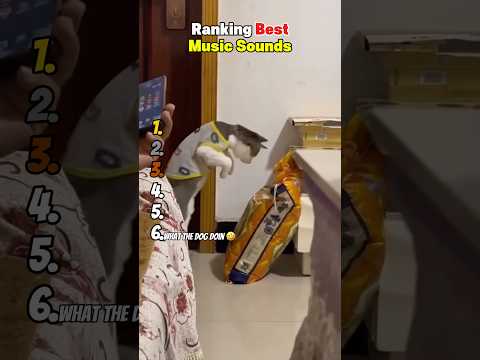 Ranking Best Music Sounds 😂 サムネイル