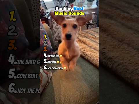 Ranking Best Music Sounds 😂 サムネイル