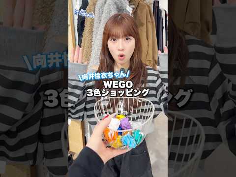 【向井怜衣ちゃん💙3色ショッピング🛍️】どんなコーデになるかな？👀shorts fashion wego ウィゴー o… サムネイル