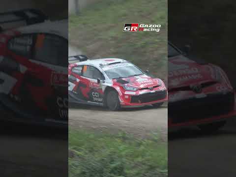 Twisty & Fast | WRC Stars Taming the Góis Mountain Pass サムネイル