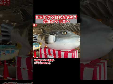 朝から贅沢に下関グルメを堪能しました サムネイル