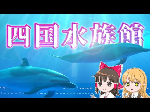 景色が美しすぎる幻の四国水族館で最上級の癒やしタイム！霊夢と魔理沙が四国水族館に行くよ【ゆっくり実況解説】【旅行Vlo… サムネイル