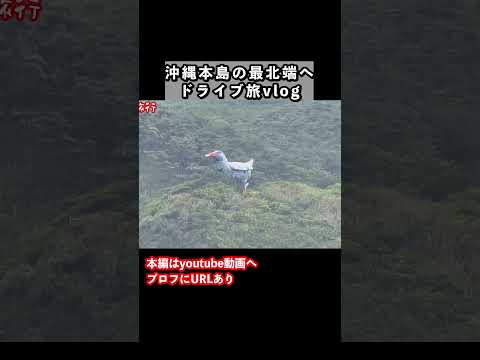 沖縄本島の最北端「国頭村」をドライブ旅しました  沖縄旅行 沖縄観光 サムネイル