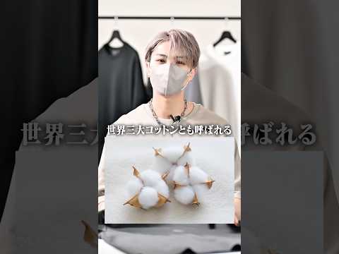 高級綿？ギザコットンとはなんなのか？デザイナーが解説します ファッション 服 コーデ サムネイル