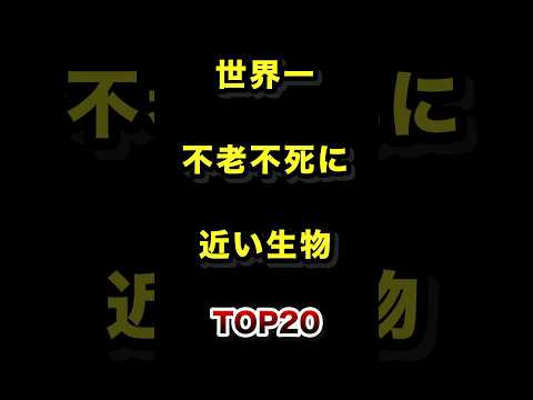 世界で1番不老不死に近い生物TOP20 不老不死 生物 寿命 ランキング サムネイル