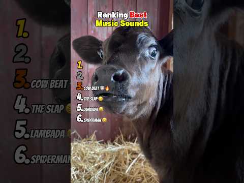 Ranking Best Music Sounds 😂 サムネイル
