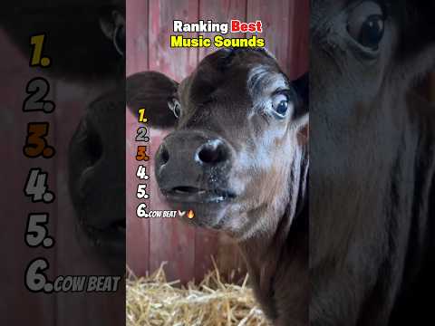 Ranking Best Music Sounds 😂 サムネイル