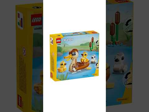 Your Favorite Childhood Game Just Got LEGO'd サムネイル