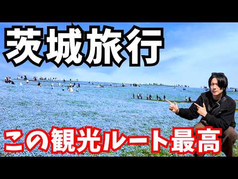 【茨城観光】茨城旅行で絶品グルメと神秘的な観光スポットを巡る｜ネモフィラ｜那珂湊おさかな市場 サムネイル