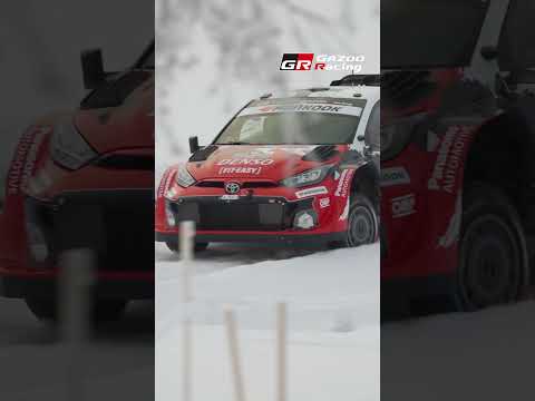 White Horizon: WRC Rally Sweden SS4 Speed in the Countryside サムネイル