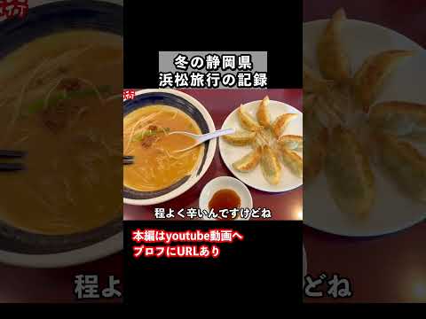 【浜松ひとり旅】浜松餃子と担々麺が最高すぎる 旅行vlog ひとり旅 サムネイル