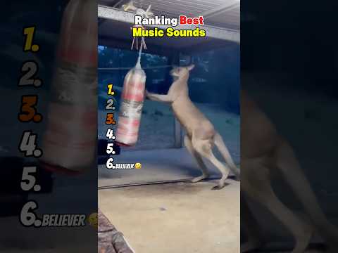 Ranking Best Music Sounds 😂 サムネイル
