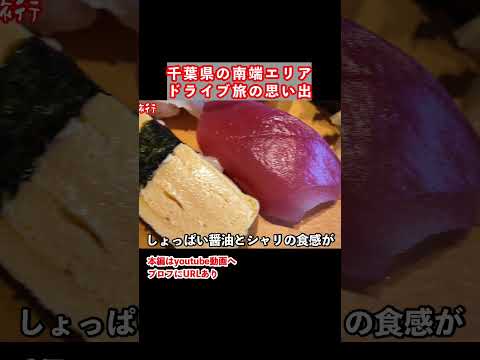 新宿から２時間！館山旅行でお寿司タイム　千葉旅行 館山 千葉観光 サムネイル