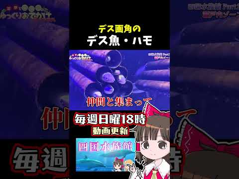 デス魚 サムネイル