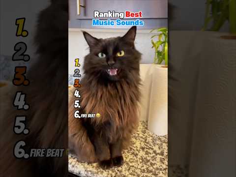 Ranking Best Music Sounds 😂 サムネイル