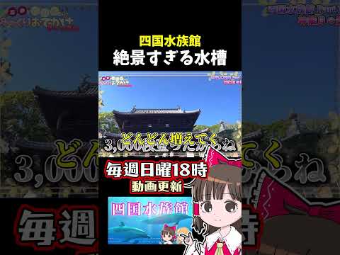 四国水族館の絶景 サムネイル