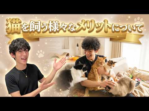 猫を飼う様々なメリットについて サムネイル