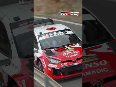 Twist & Shred | WRC Stars Taming the Canarian Canyons サムネイル