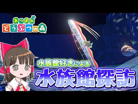 水族館好きがあつまれどうぶつの森の水族館を探索してみたら、すごすぎてびっくり！霊夢と魔理沙があつ森の水族館で遊ぶよ【ゆ… サムネイル