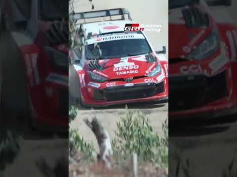 Dust Storm: WRC Stars Blasting Through SS2 サムネイル