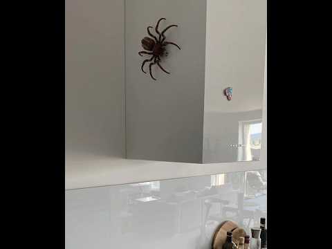 My Favorite LEGO Related Prank サムネイル