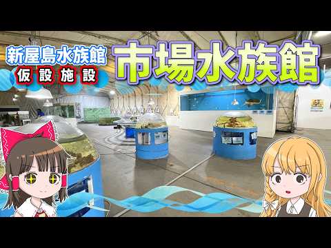 【期間限定】新屋島水族館の臨時施設「市場水族館」！霊夢と魔理沙が市場水族館に行くよ【ゆっくり実況解説】【香川旅行】【旅… サムネイル