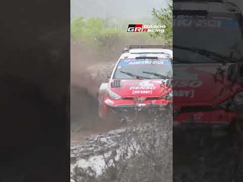 MUD MONSTERS! | WRC Safari Rally SS1 サムネイル