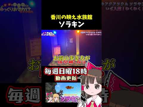 天空のアクアリウム“ソラキン” サムネイル