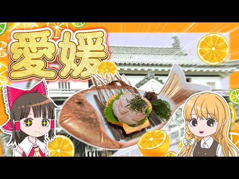 四国初上陸！愛媛県でお城を見たりオレンジジュースを堪能！霊夢と魔理沙が愛媛に旅行するよ【ゆっくり実況解説】【旅行Vlo… サムネイル