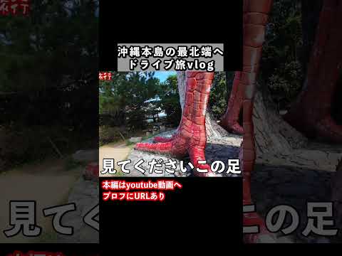 沖縄本島の最北端「国頭村」をドライブ旅しました  沖縄旅行 沖縄観光 サムネイル