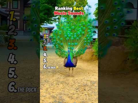 Ranking Best Music Sounds 😂 サムネイル