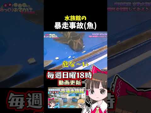 水族館の事故 サムネイル