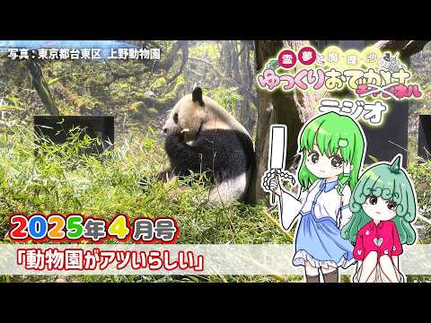 れいまりおでかけラジオ2026年4月号「動物園がアツいらしい」他【作業用】【睡眠用】【霊夢と魔理沙のゆっくりおでかけラ… サムネイル