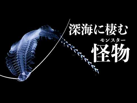 実在する深海モンスター10選 サムネイル